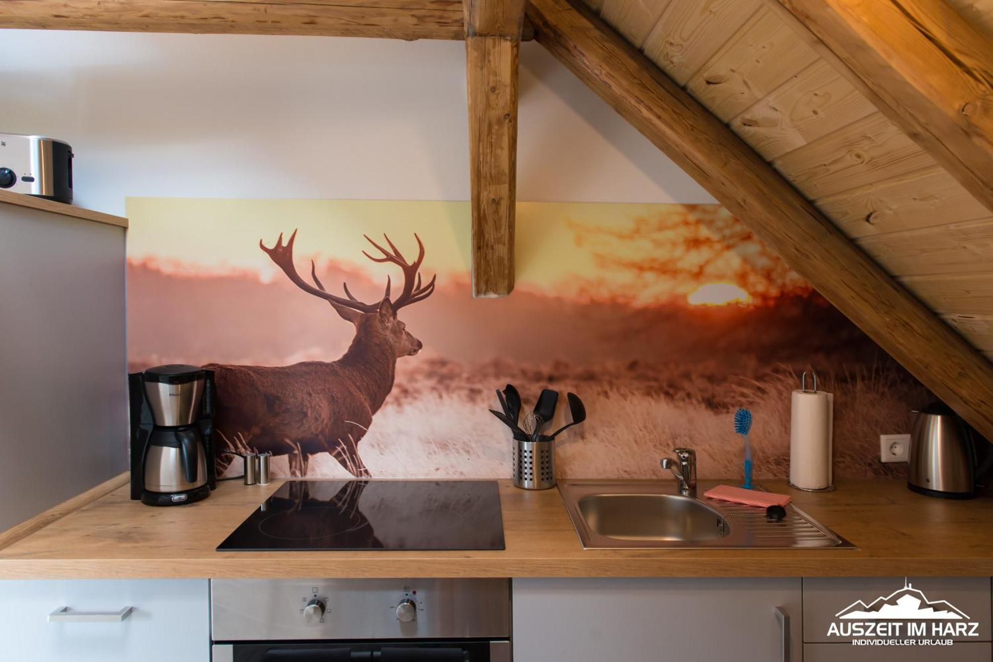Auszeit Im Harz - Haus 2 Wohnung 5 시르케 외부 사진