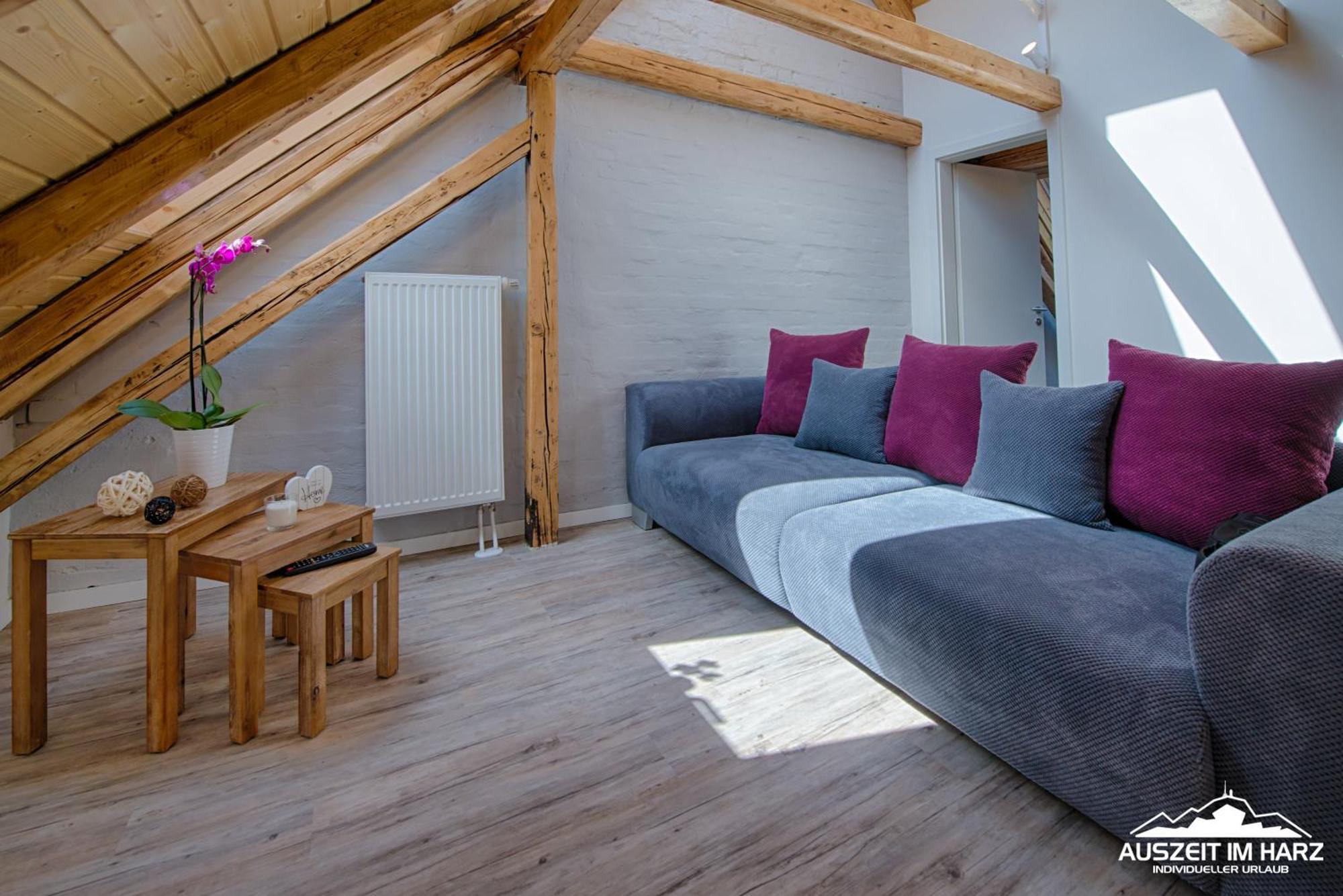 Auszeit Im Harz - Haus 2 Wohnung 5 시르케 외부 사진
